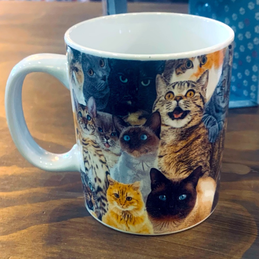 🐈 CRAZY CAT LADY COFFEE MUGS🐈
